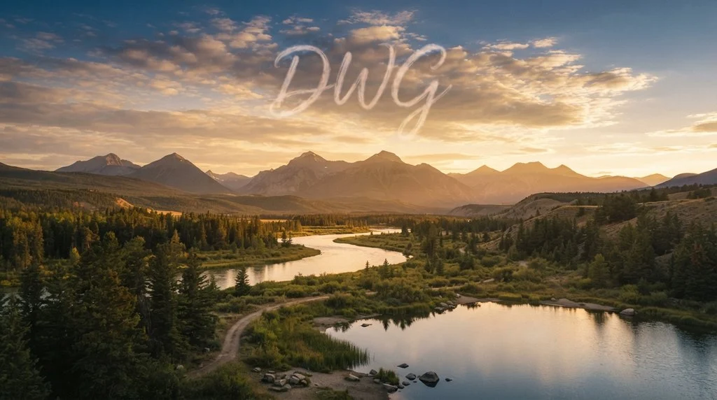 What Does DWG Mean in Text?